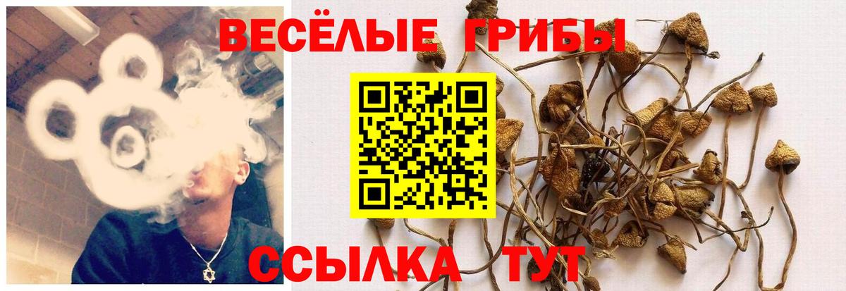 даркнет сайт  Вход с VPN  Псилоцибиновые грибы прущие грибы  Воскресенск  Галлюциногенные грибы GOLDEN TEACHER 